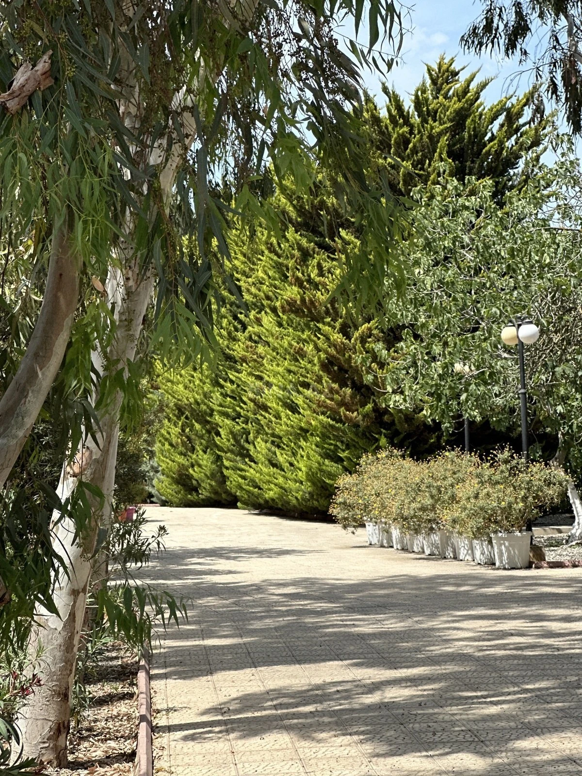 Satılır 5 otaqlı həyət evi 525 m²