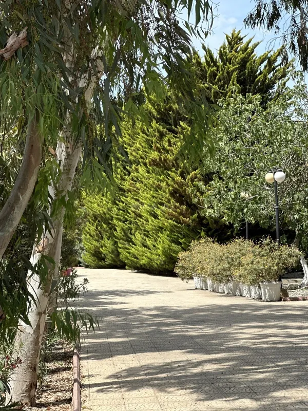 Satılır 5 otaqlı həyət evi 525 m²