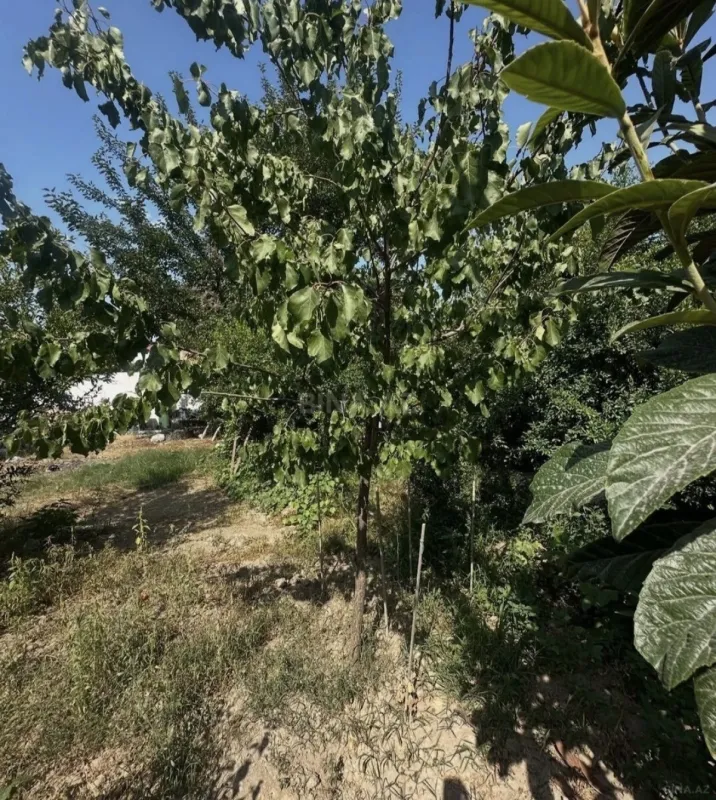 Satılır torpaq sahəsi 11 m²