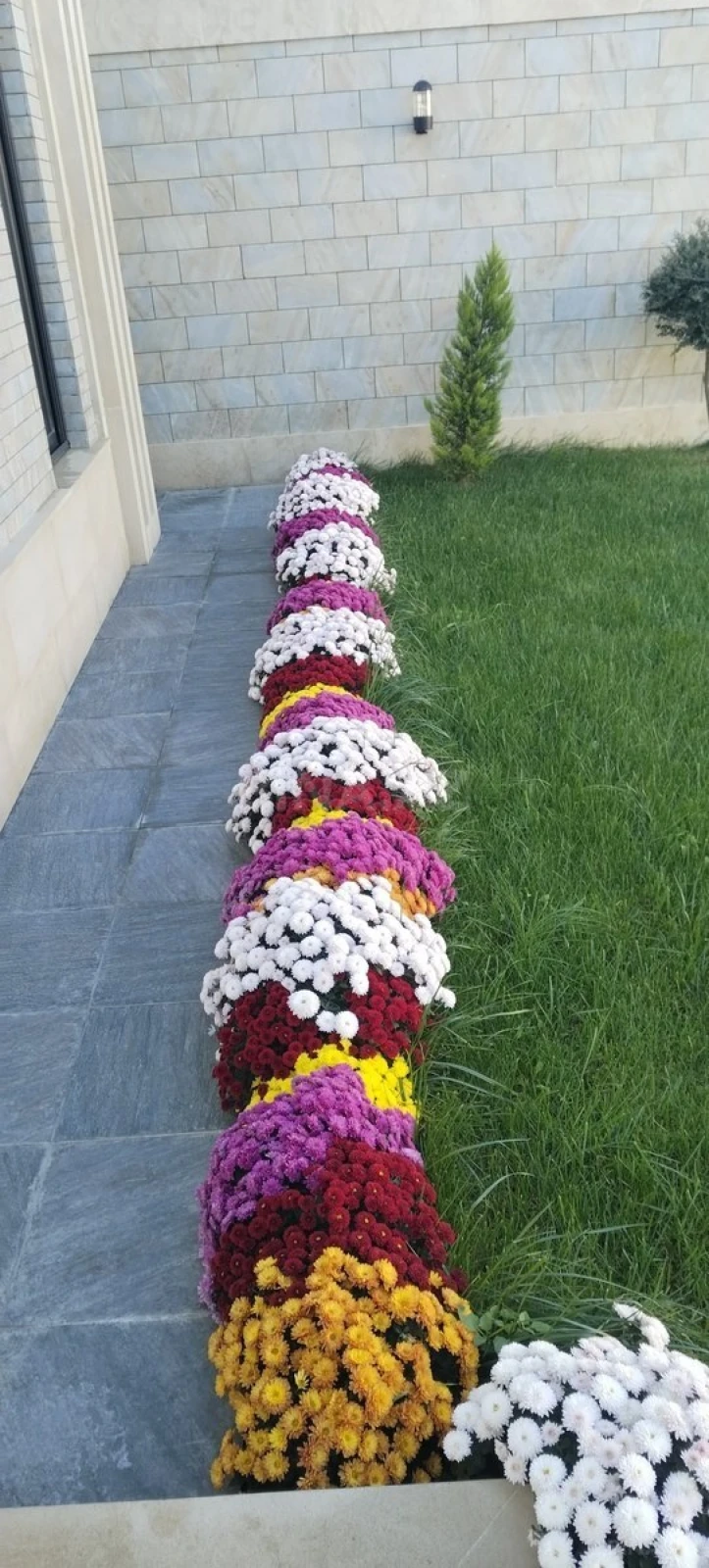 Satılır həyət evi 180 m²