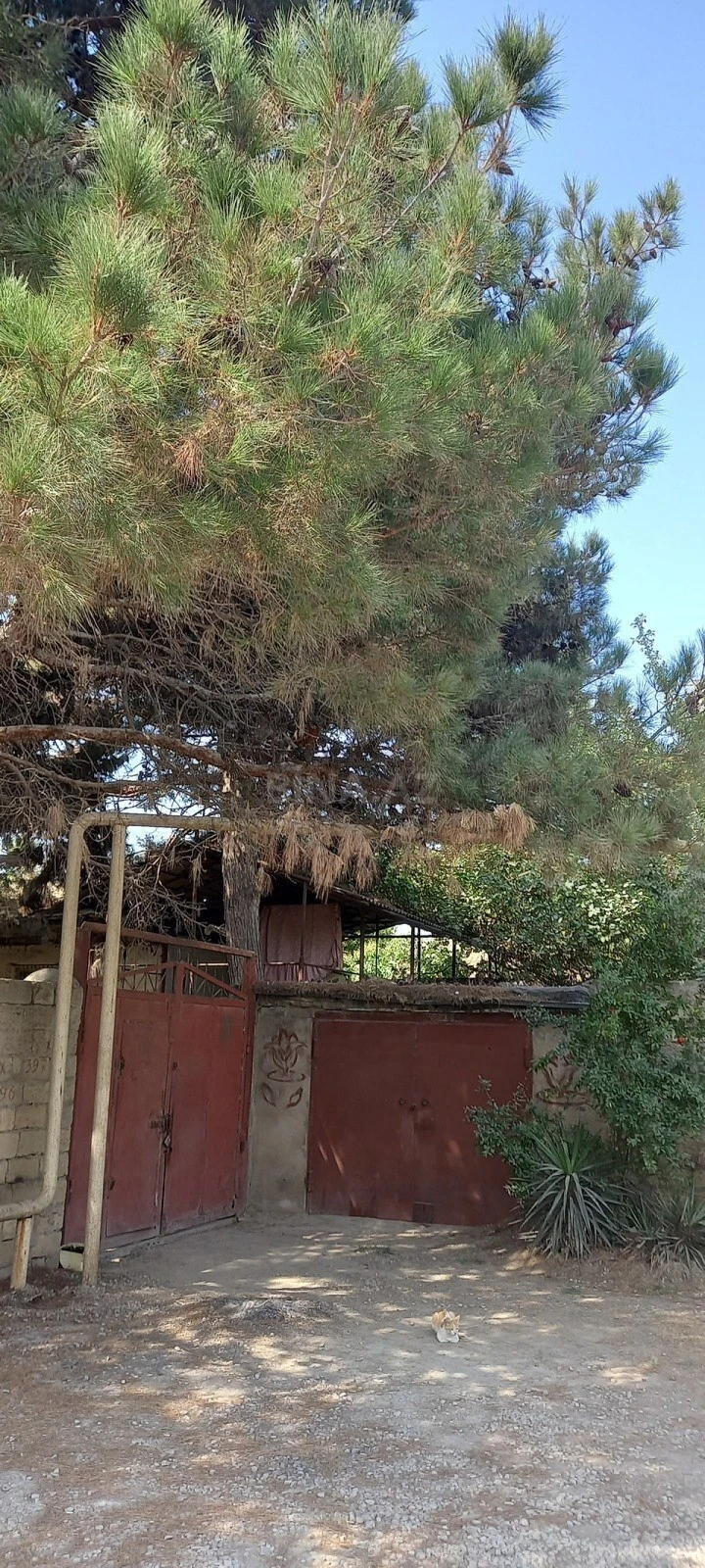 Satılır torpaq sahəsi 50 m²