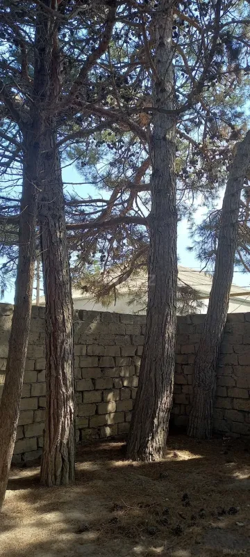 Satılır torpaq sahəsi 50 m²