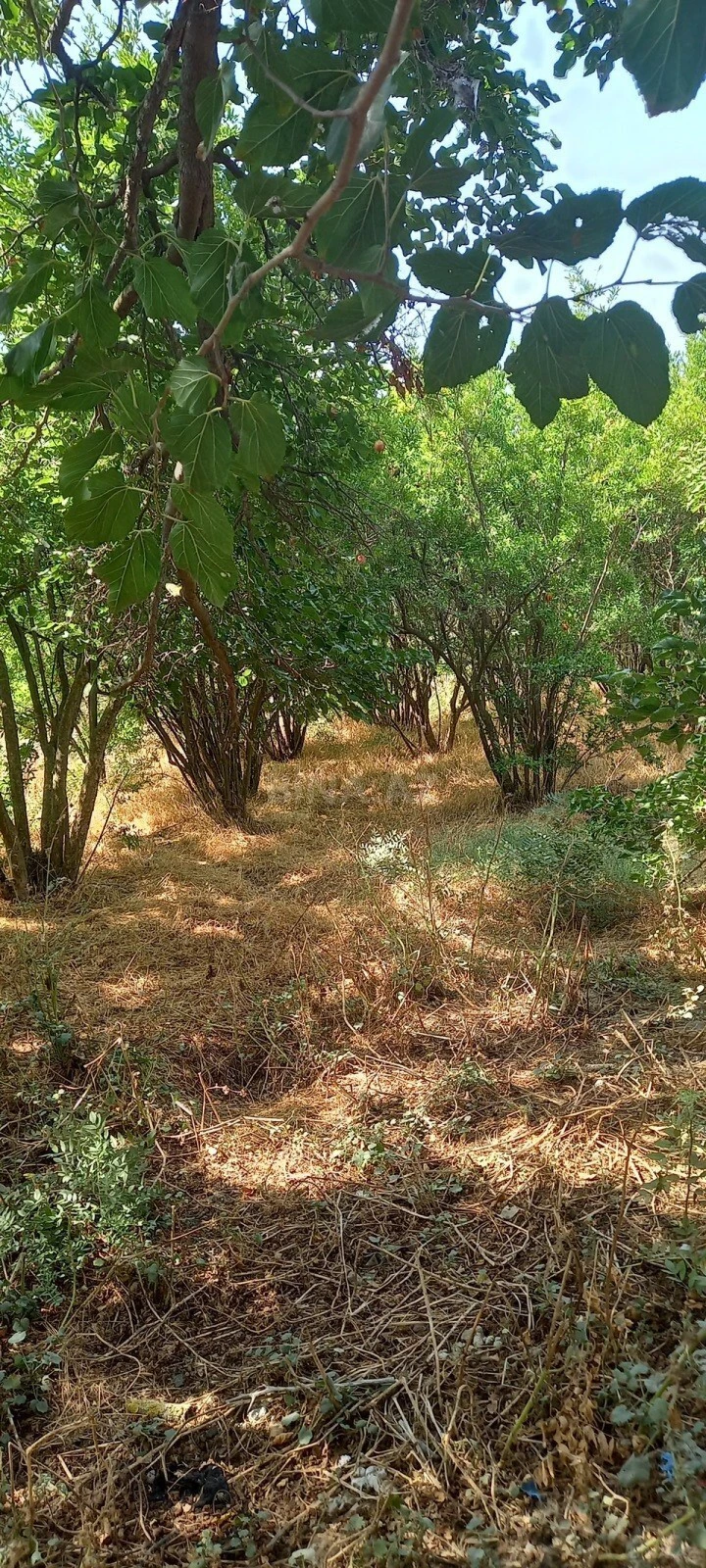 Satılır torpaq sahəsi 50 m²