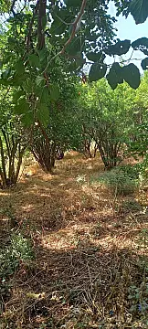 Satılır torpaq sahəsi 50 m²