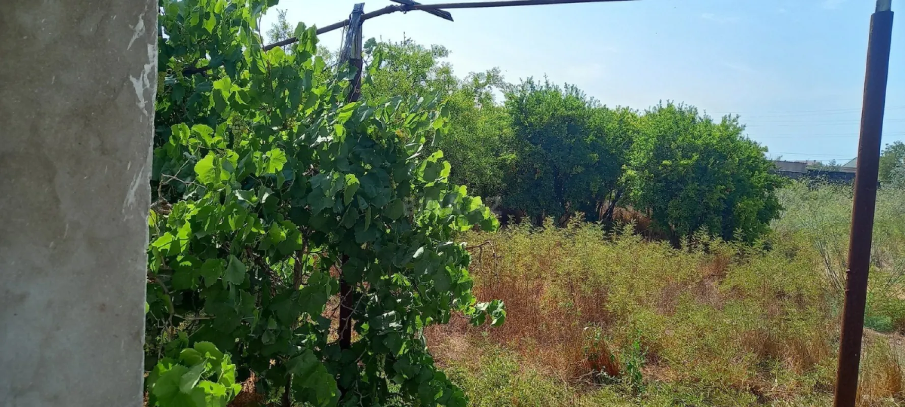 Satılır torpaq sahəsi 50 m²