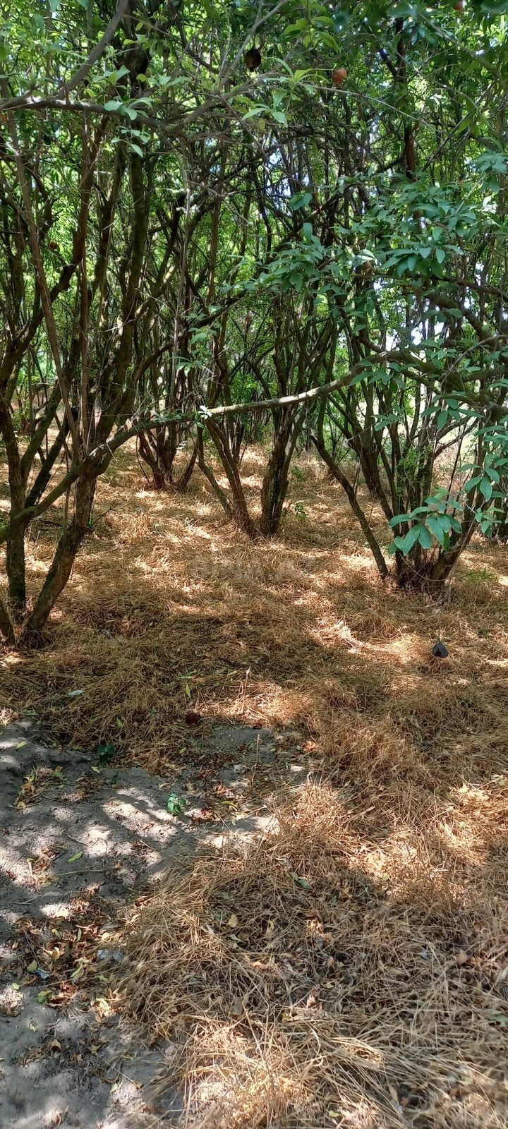 Satılır torpaq sahəsi 50 m²