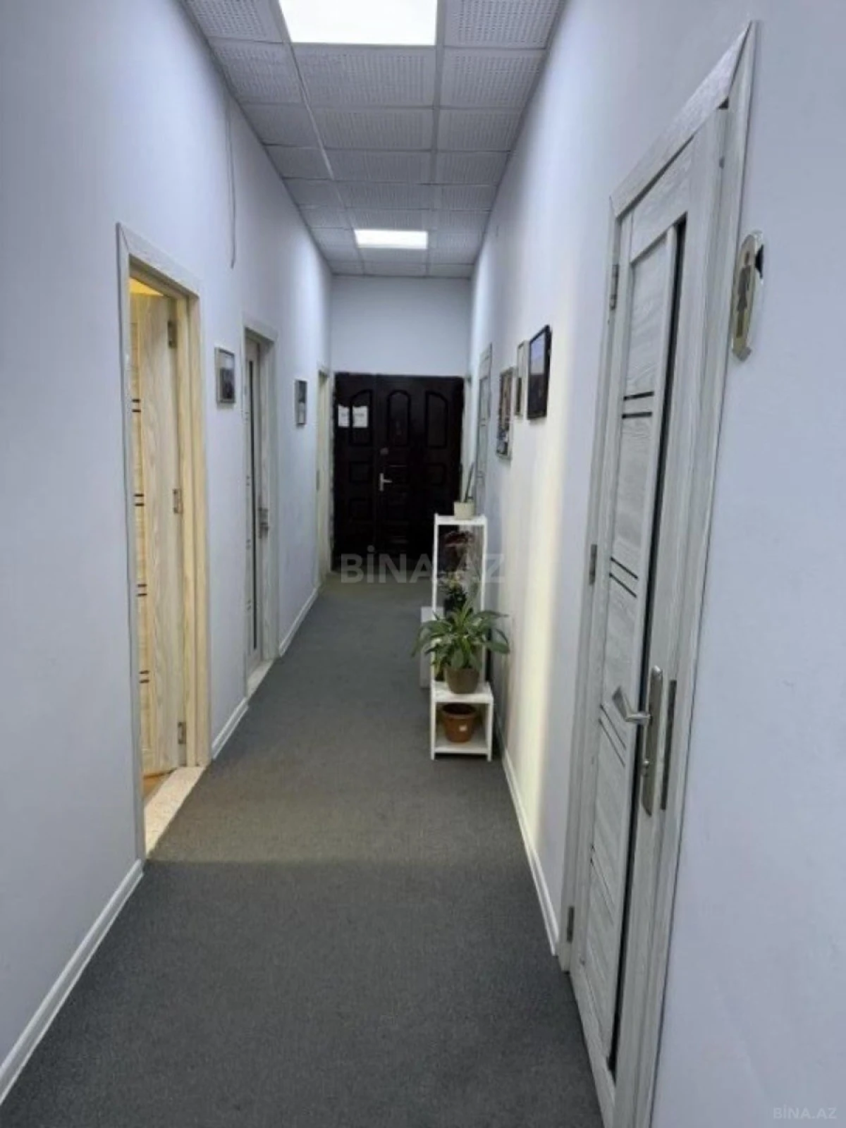 Kirayə verilir 2 otaqlı ofis 60 m²