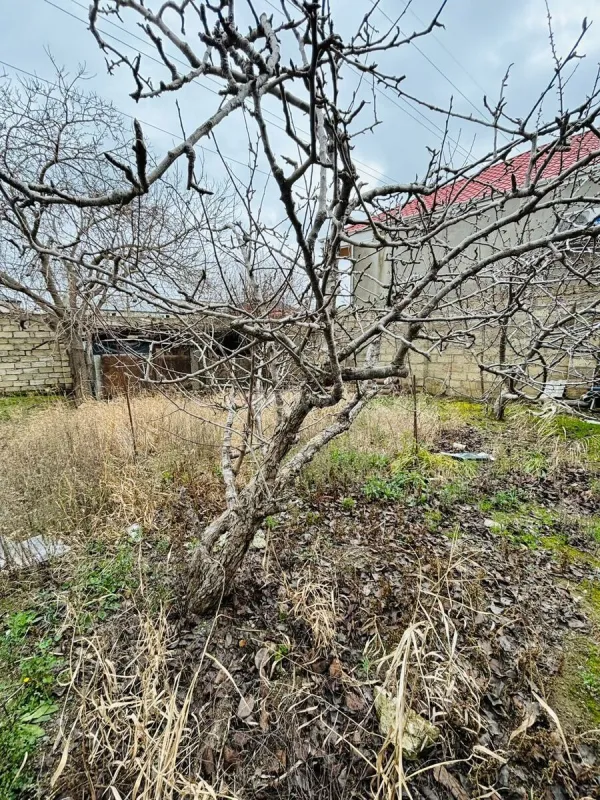 Satılır 6 otaqlı həyət evi 253 m²