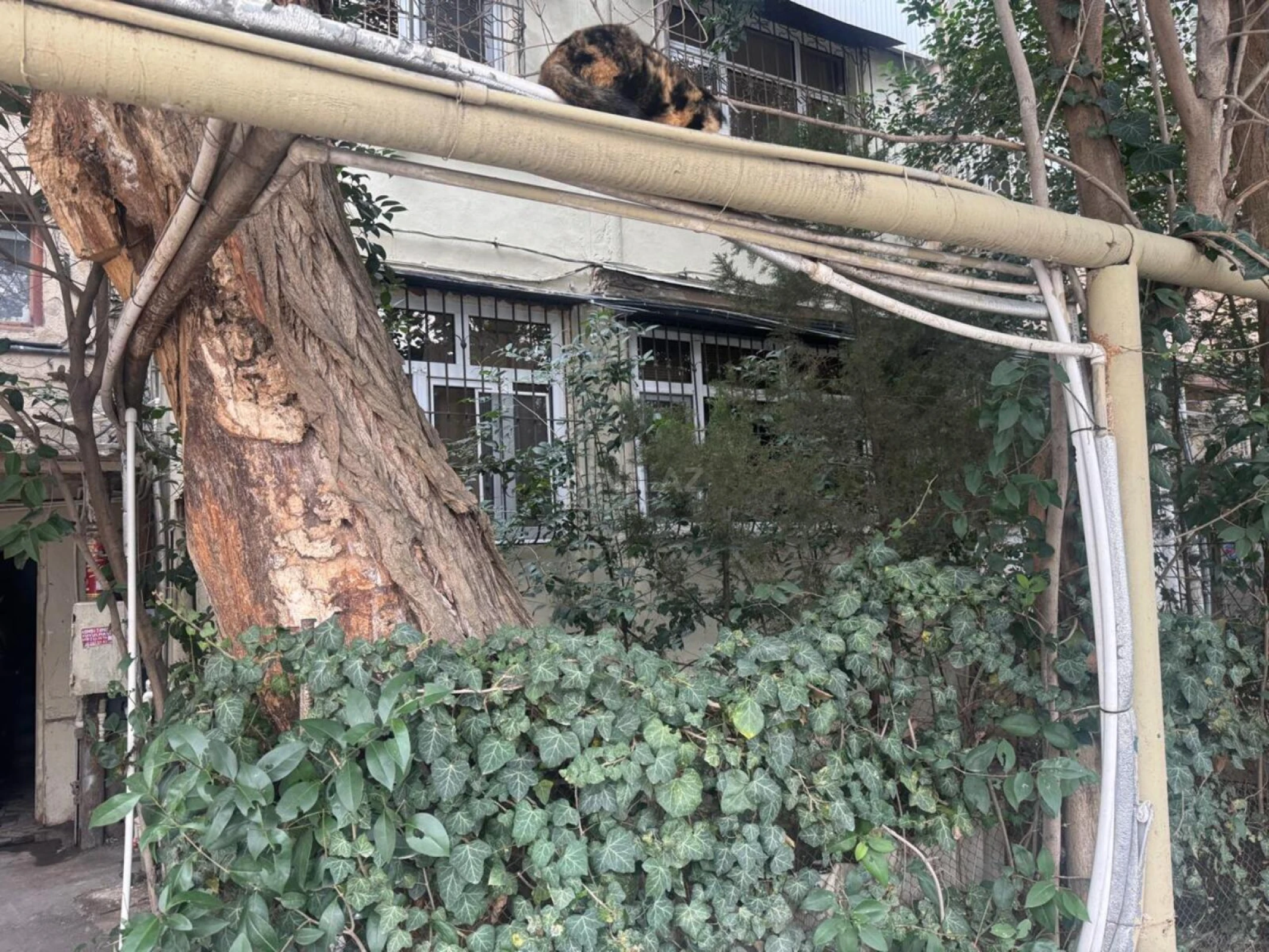 Satılır 4 otaqlı mənzil 110 m²