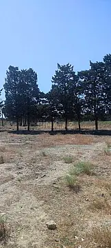 Satılır torpaq sahəsi 100 m²
