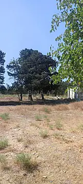 Satılır torpaq sahəsi 100 m²