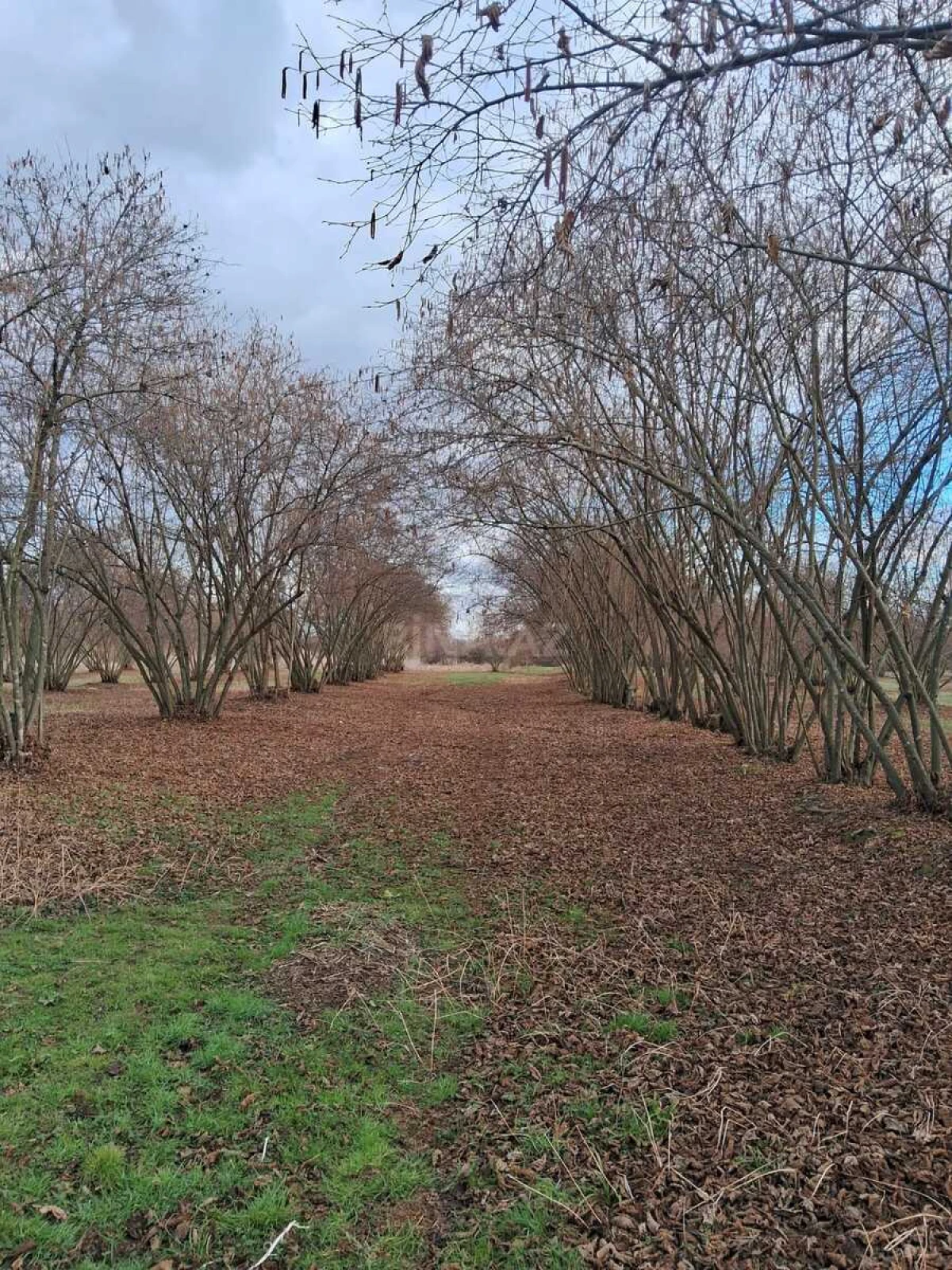 Satılır 8 otaqlı həyət evi 300 m²