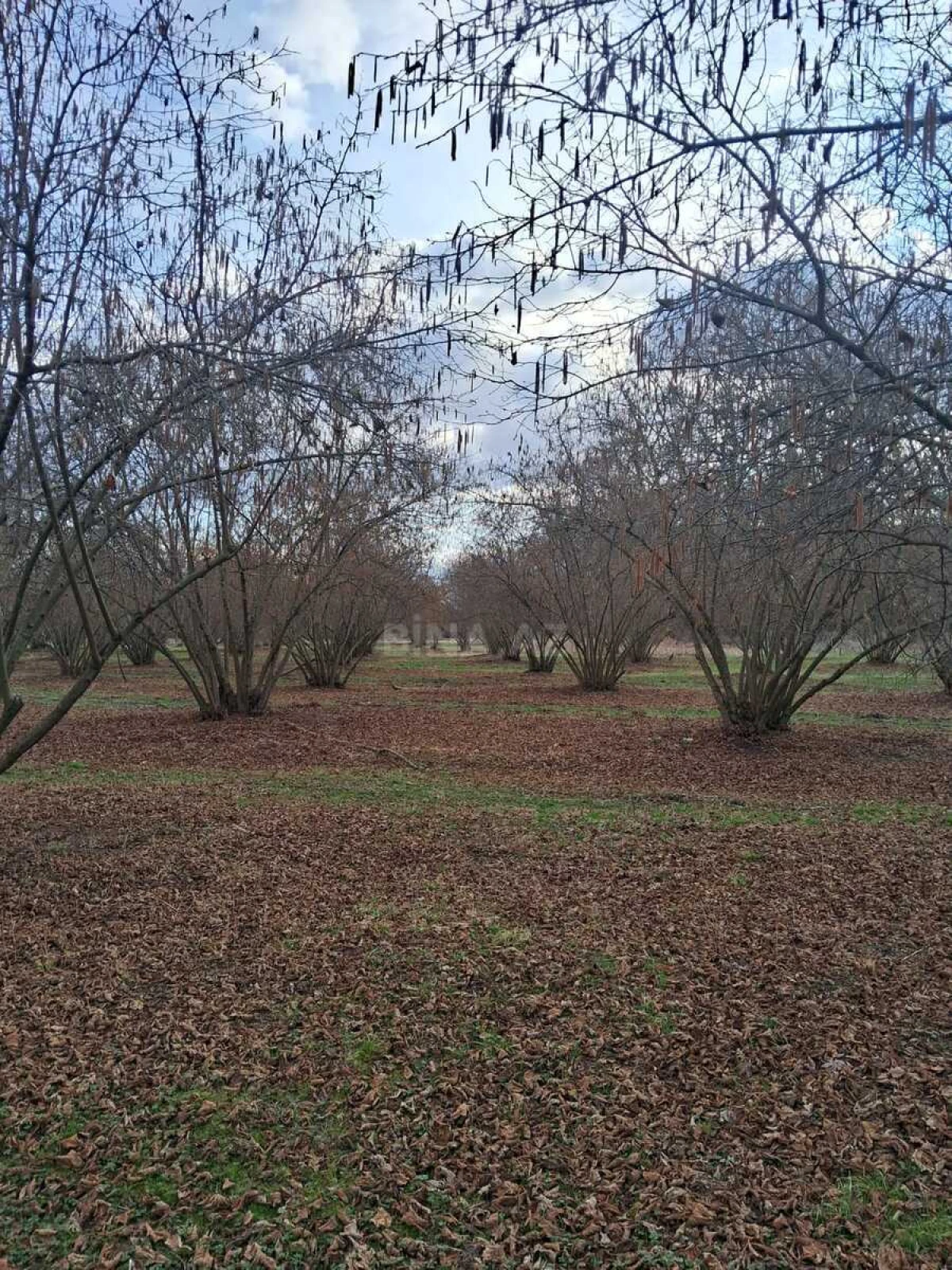 Satılır 8 otaqlı həyət evi 300 m²