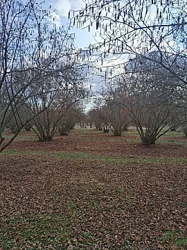 Satılır 8 otaqlı həyət evi 300 m² — Qax 8 otaq 300.00 m²