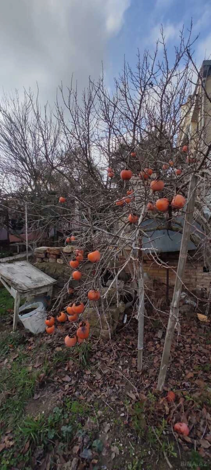 Satılır torpaq sahəsi 6 m²