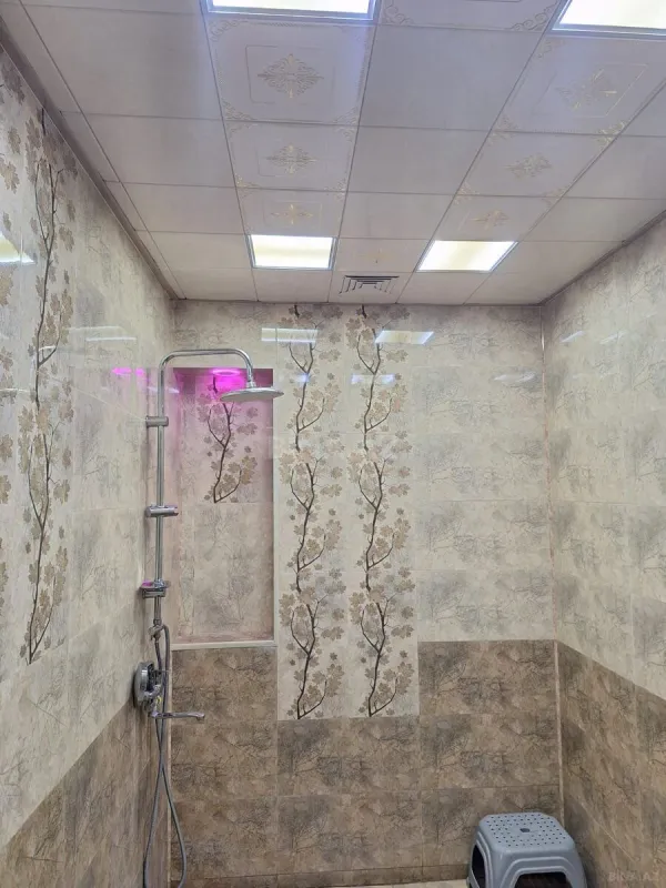 Kirayə verilir 2 otaqlı mənzil 80 m²