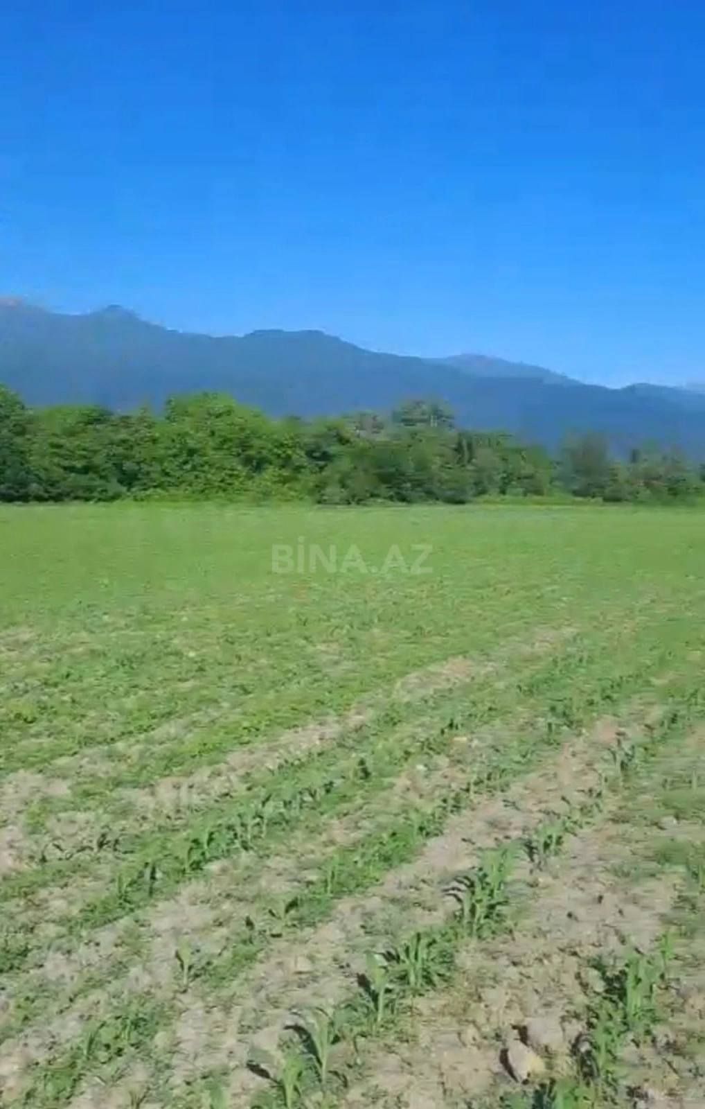 Satılır torpaq sahəsi 100 m²