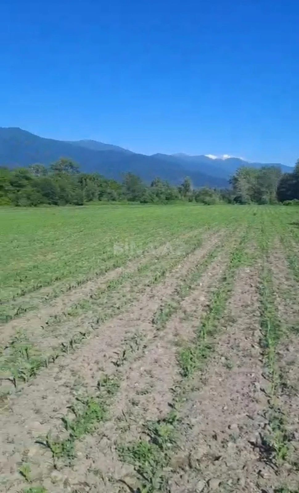 Satılır torpaq sahəsi 100 m²