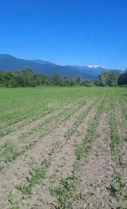 Satılır torpaq sahəsi 100 m²