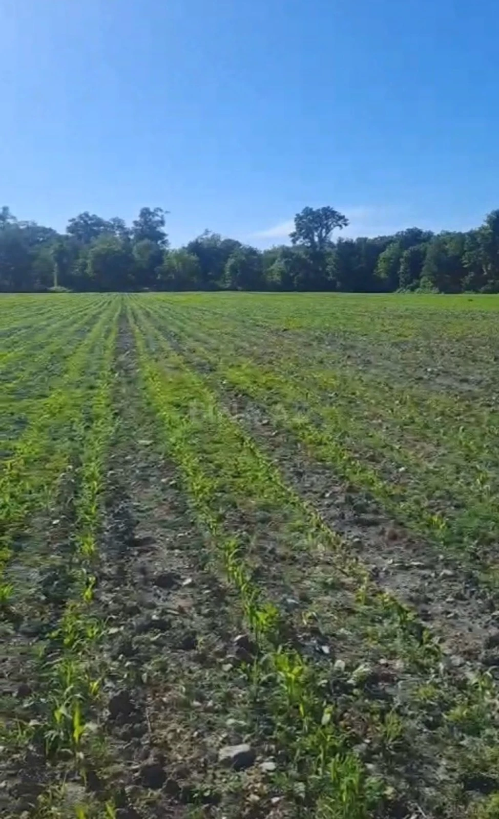 Satılır torpaq sahəsi 100 m²