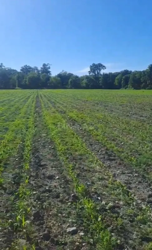 Satılır torpaq sahəsi 100 m²