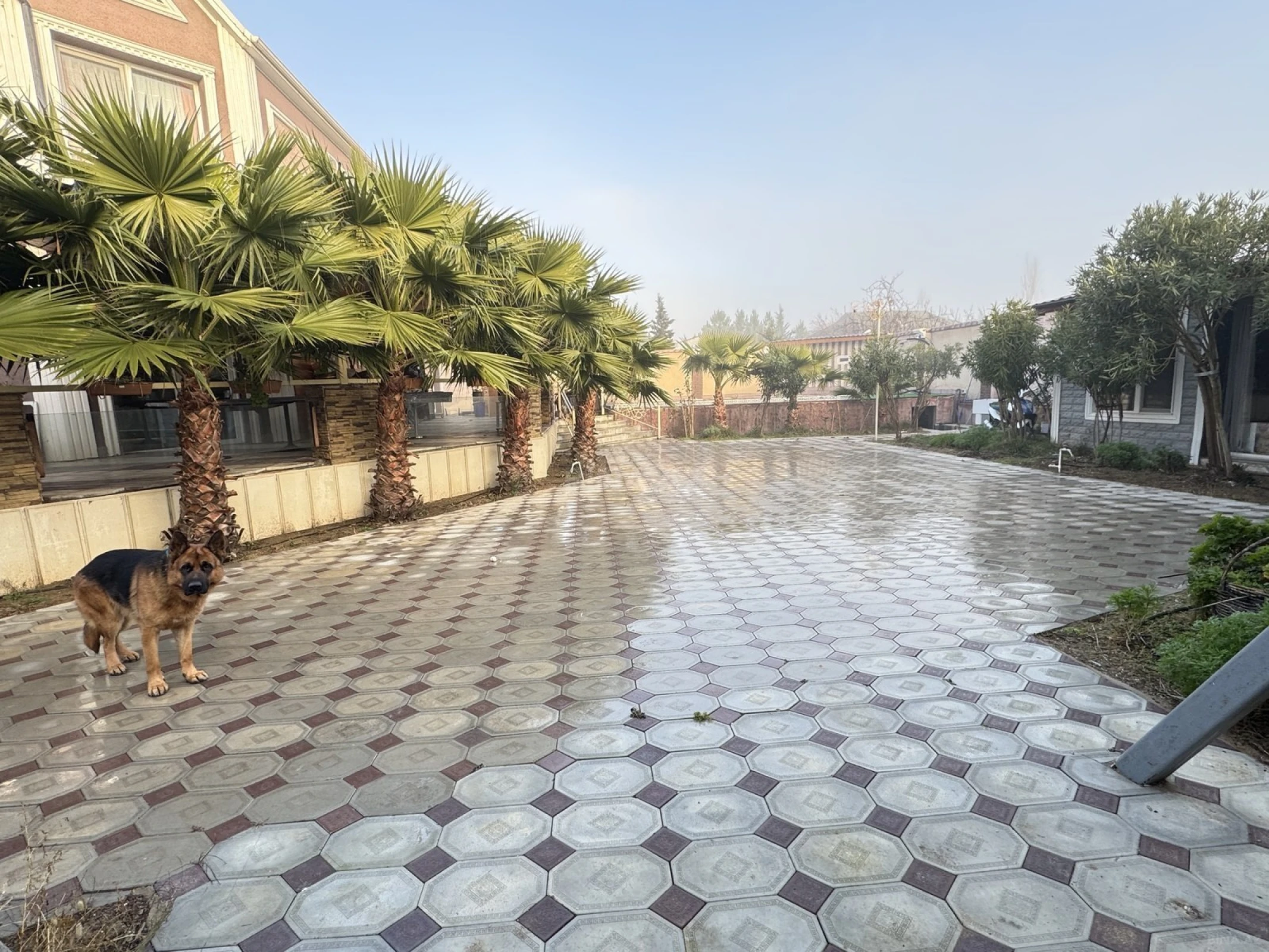 Kirayə verilir 6 otaqlı həyət evi 400 m²