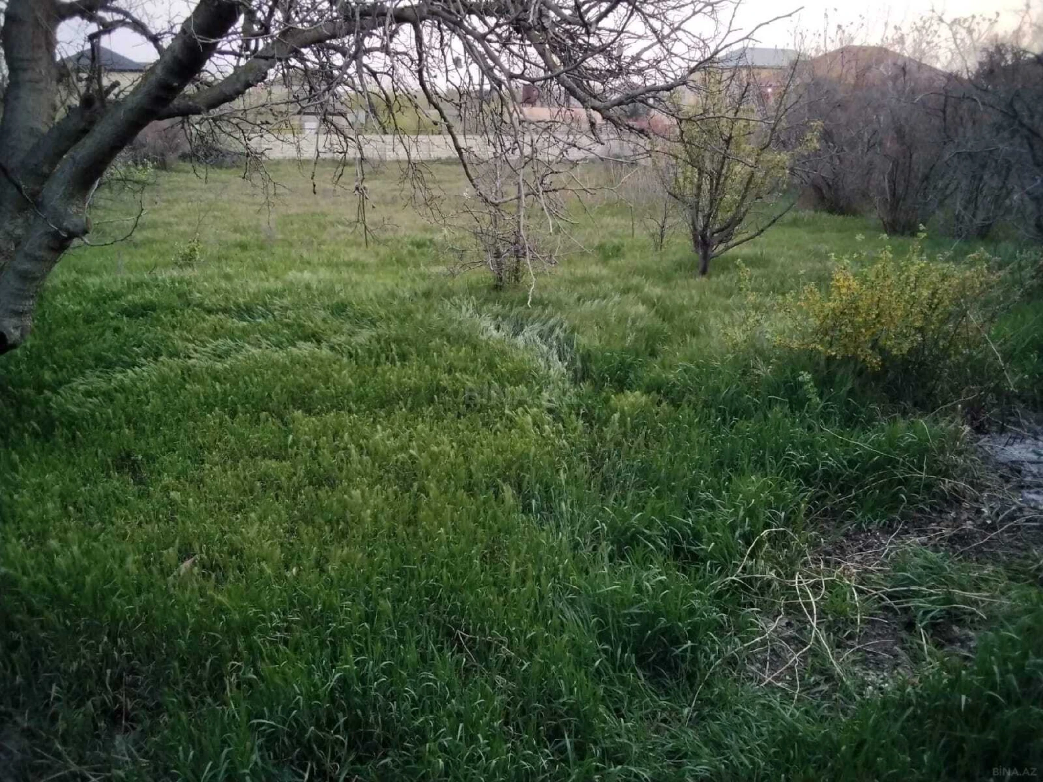 Satılır 3 otaqlı həyət evi 65 m²