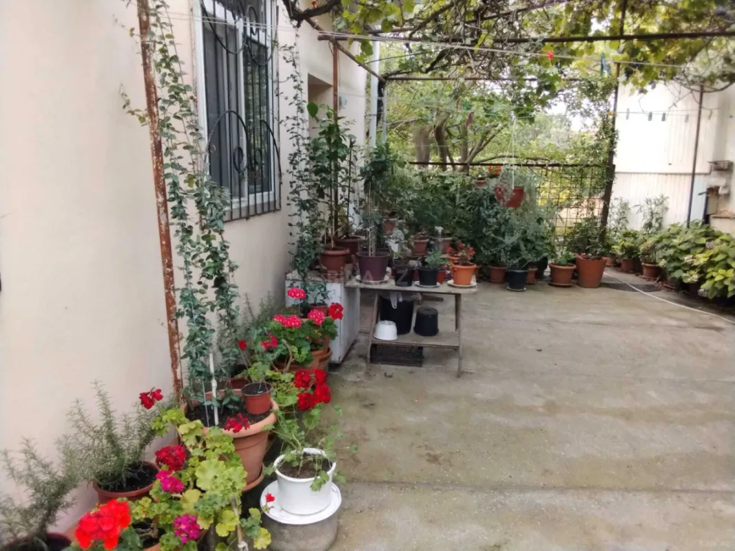 Satılır 3 otaqlı həyət evi 65 m²