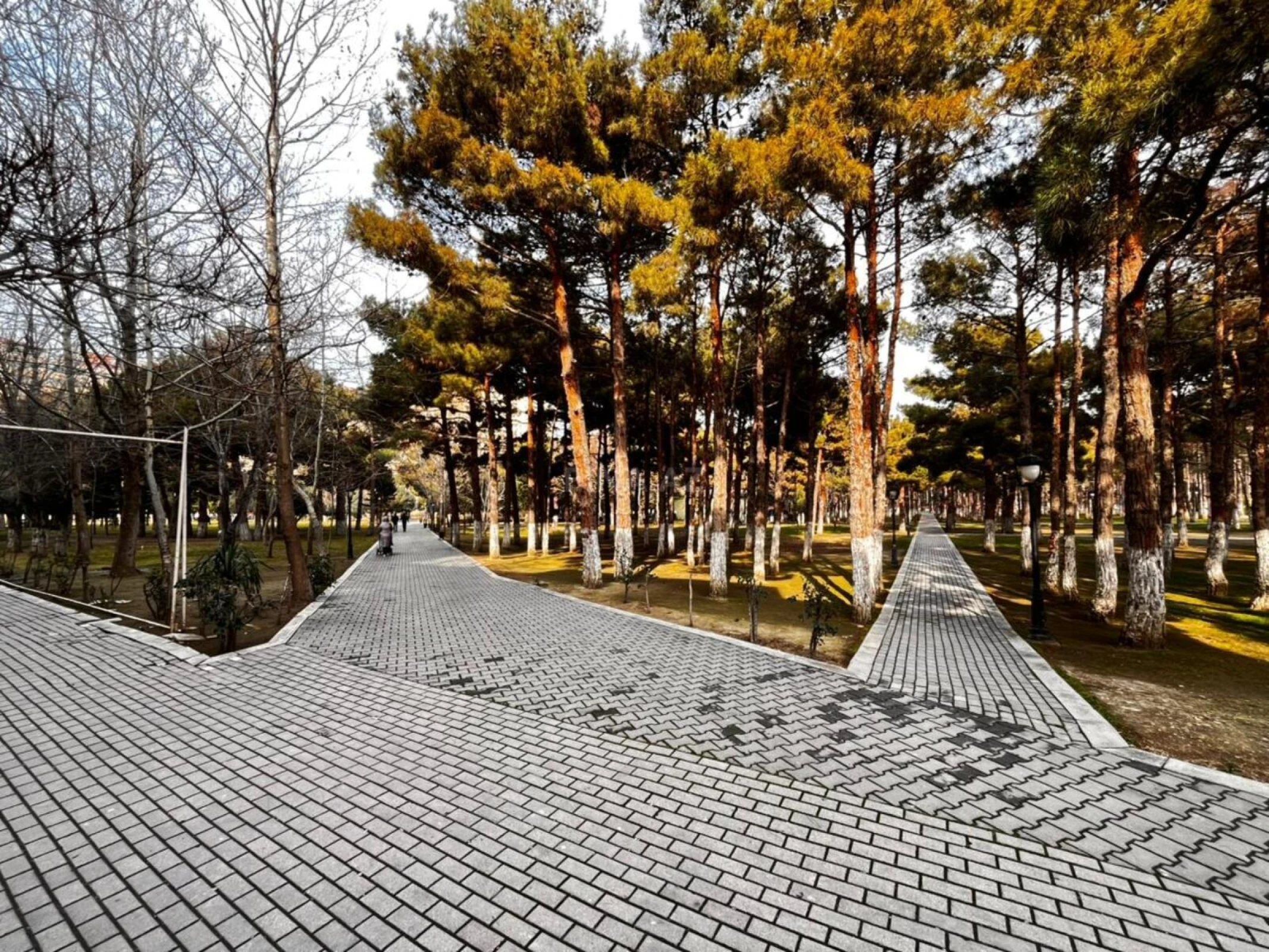 Kirayə verilir obyekt 256 m²