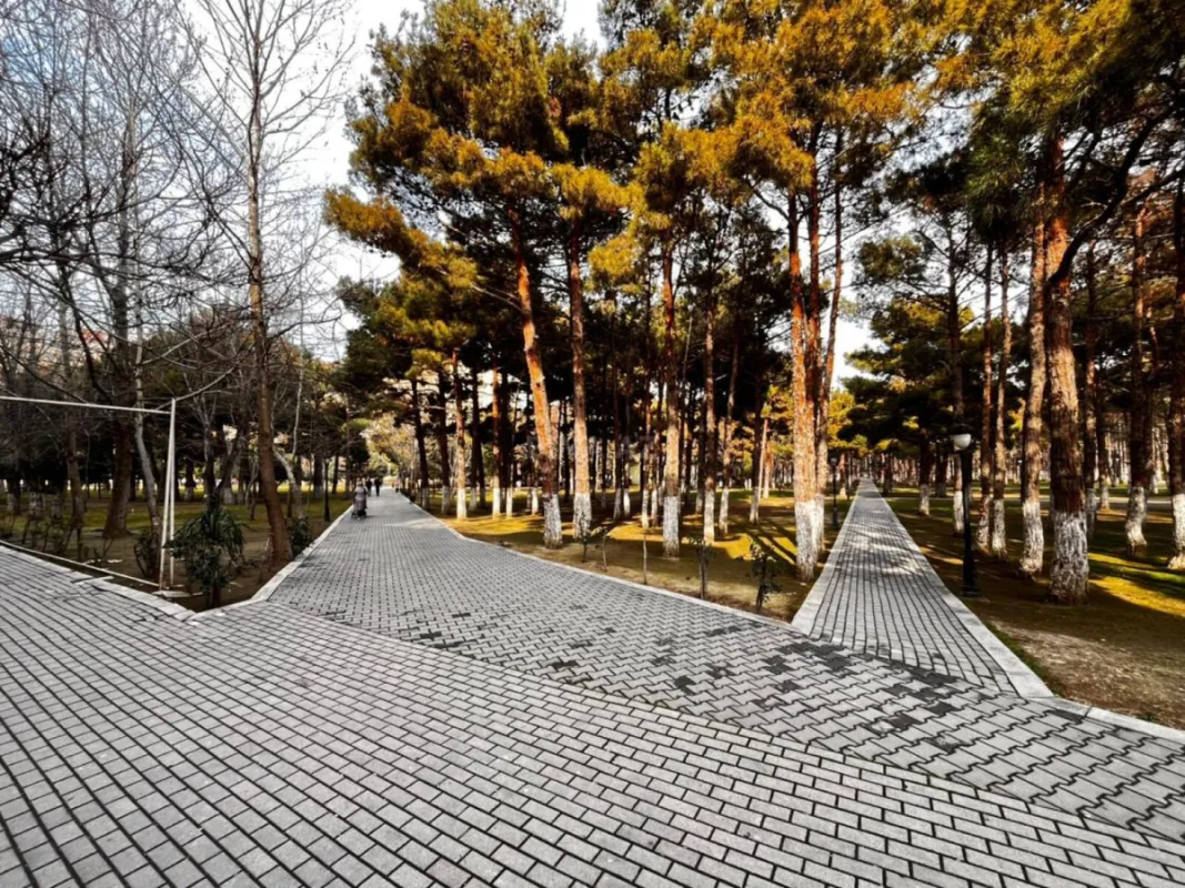 Kirayə verilir obyekt 256 m²