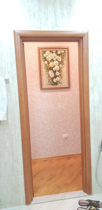 Satılır 3 otaqlı mənzil 170 m²