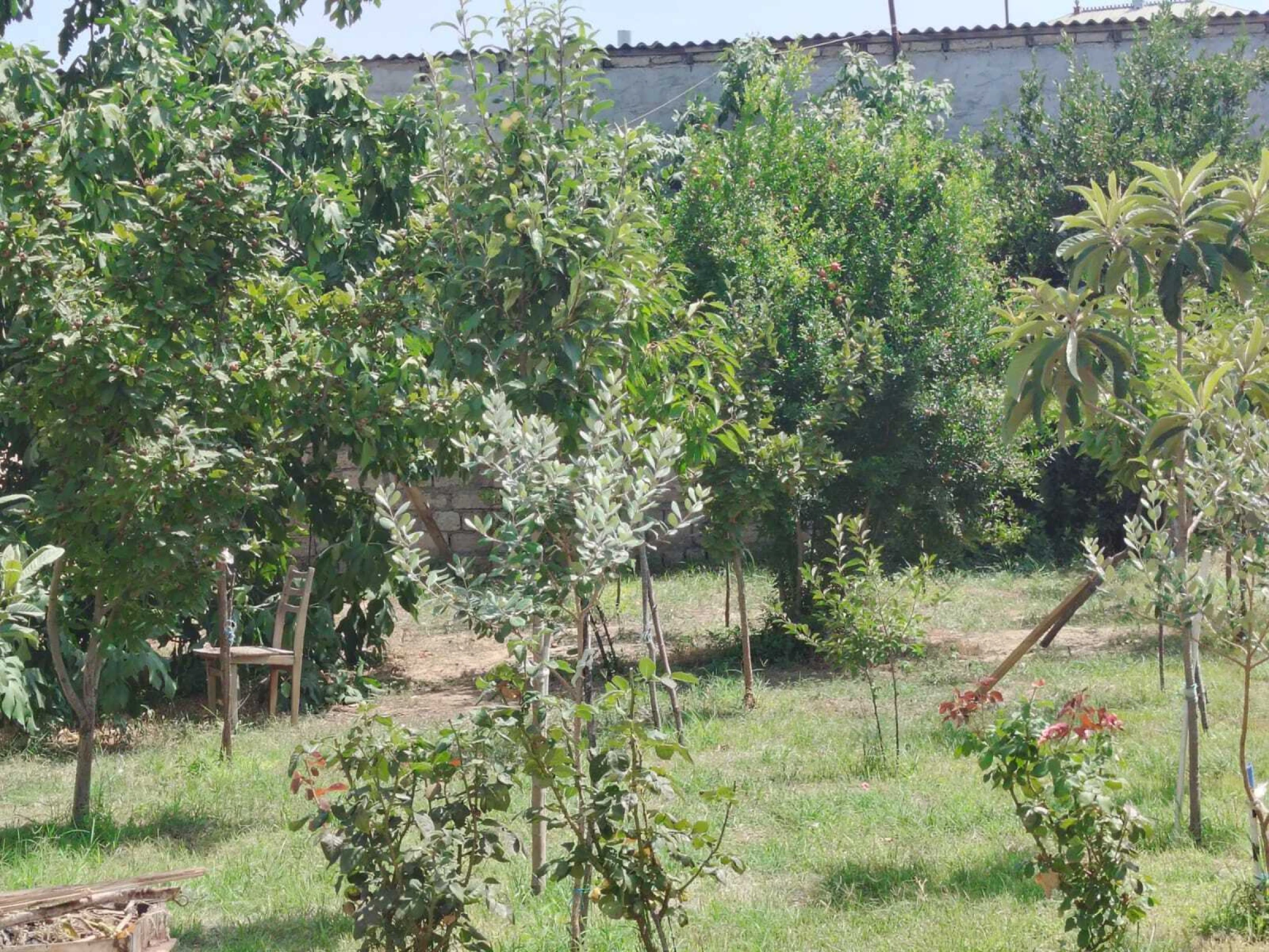 Satılır 3 otaqlı həyət evi 100 m²