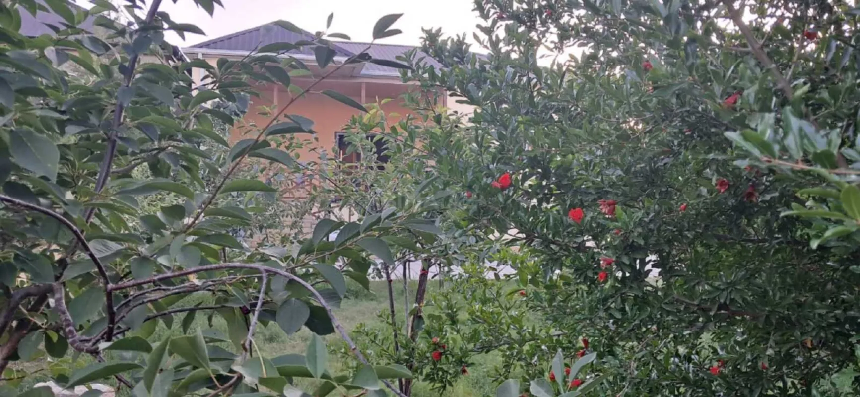 Satılır 3 otaqlı həyət evi 100 m²