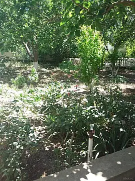 Satılır torpaq sahəsi 6 m² — Bakı, Badamdar 6.00 m²