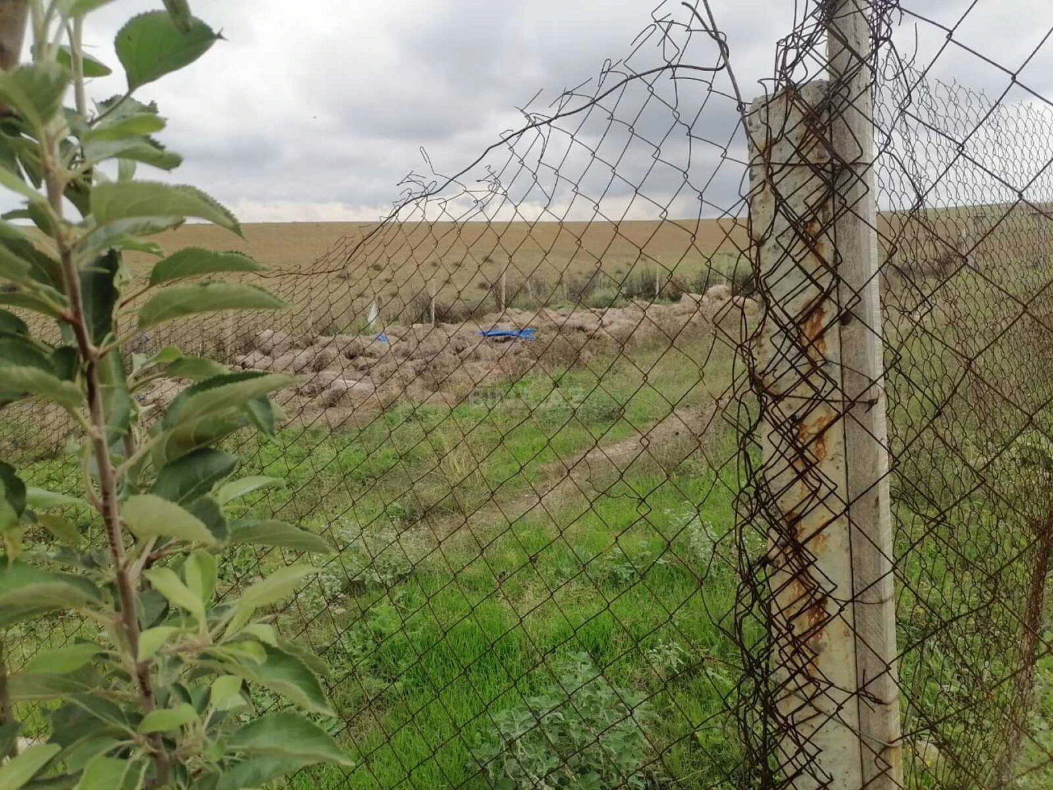 Satılır 2 otaqlı həyət evi 60 m²