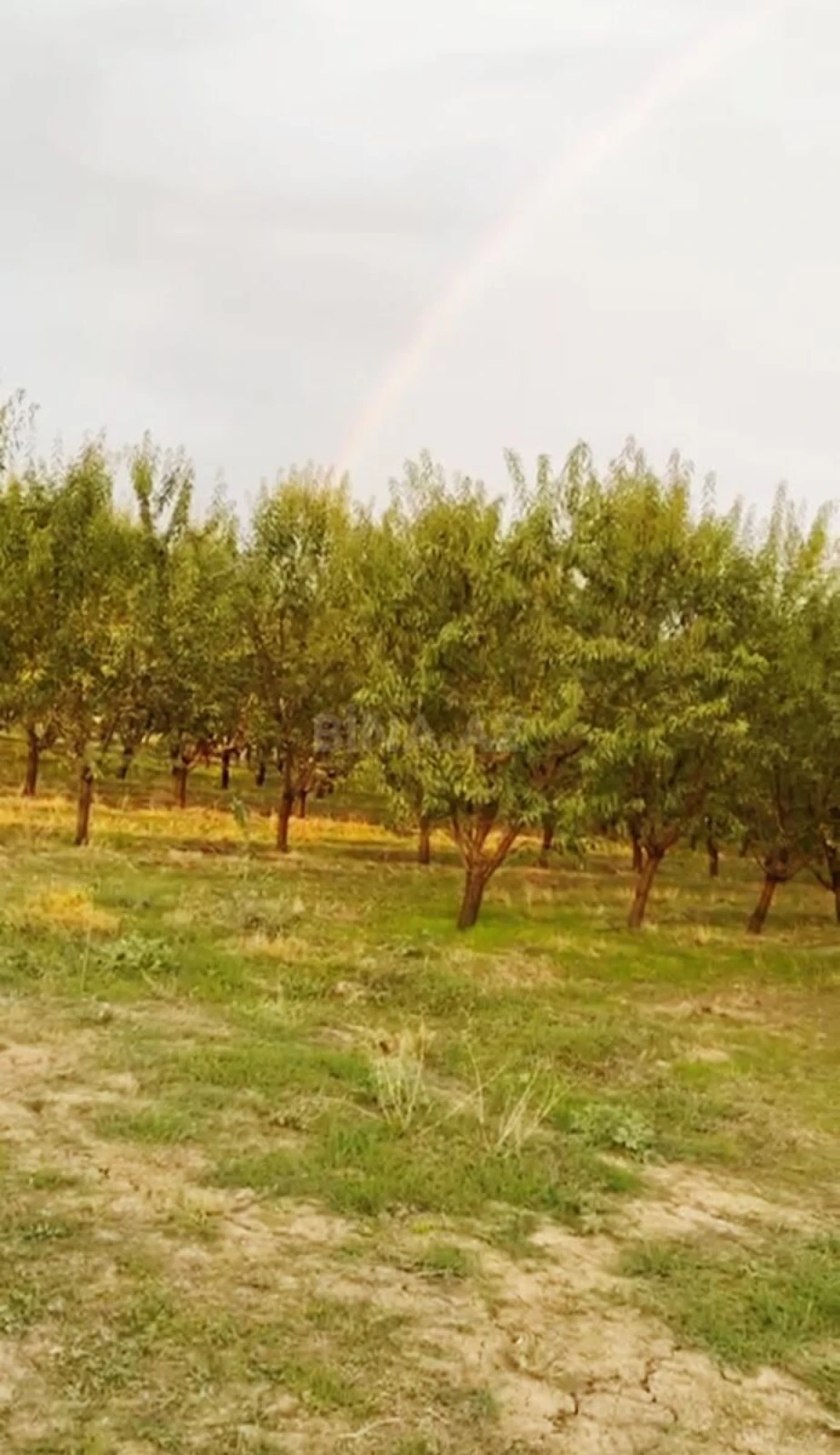 Satılır torpaq sahəsi 250 m²