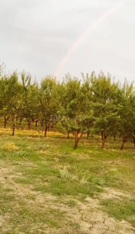 Satılır torpaq sahəsi 250 m²