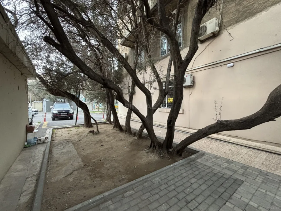 Kirayə verilir 3 otaqlı ofis 100 m²