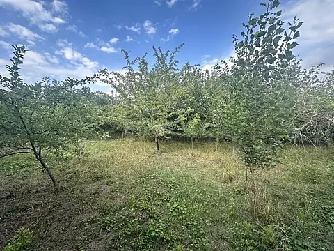 Satılır torpaq sahəsi 10 m² — Quba 10.00 m²