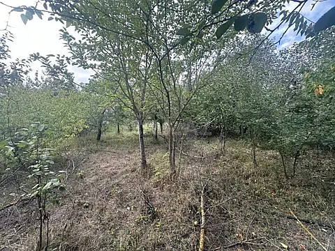 Satılır torpaq sahəsi 10 m²