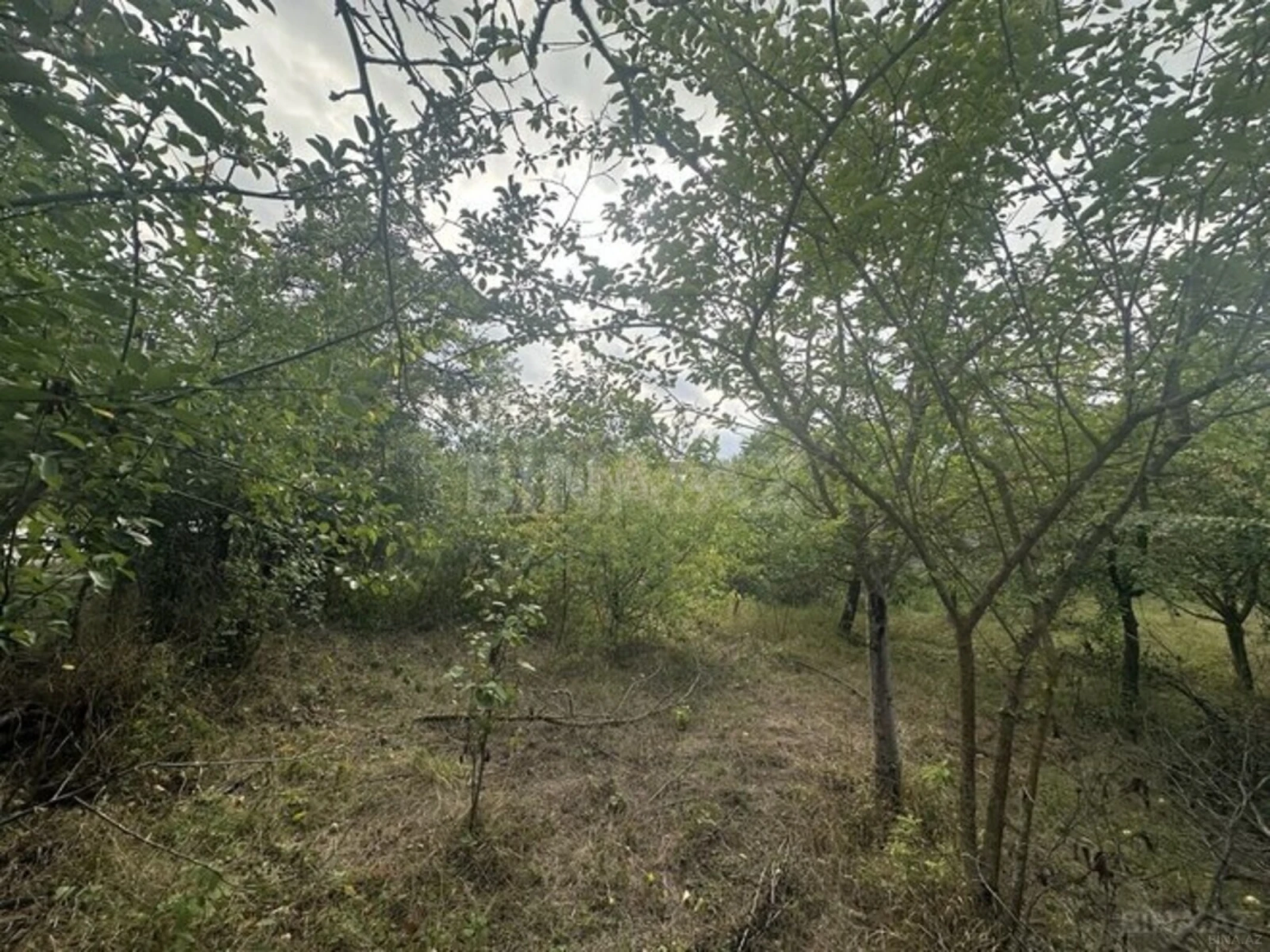 Satılır torpaq sahəsi 10 m²