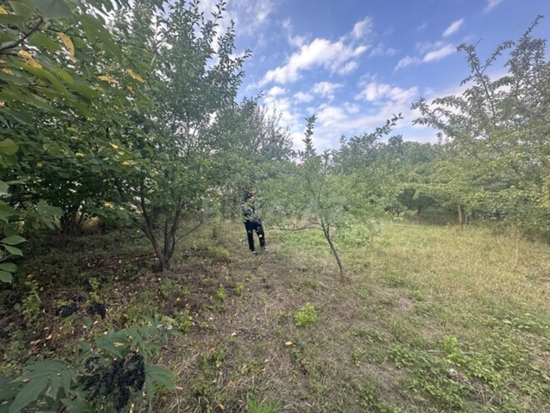 Satılır torpaq sahəsi 10 m²