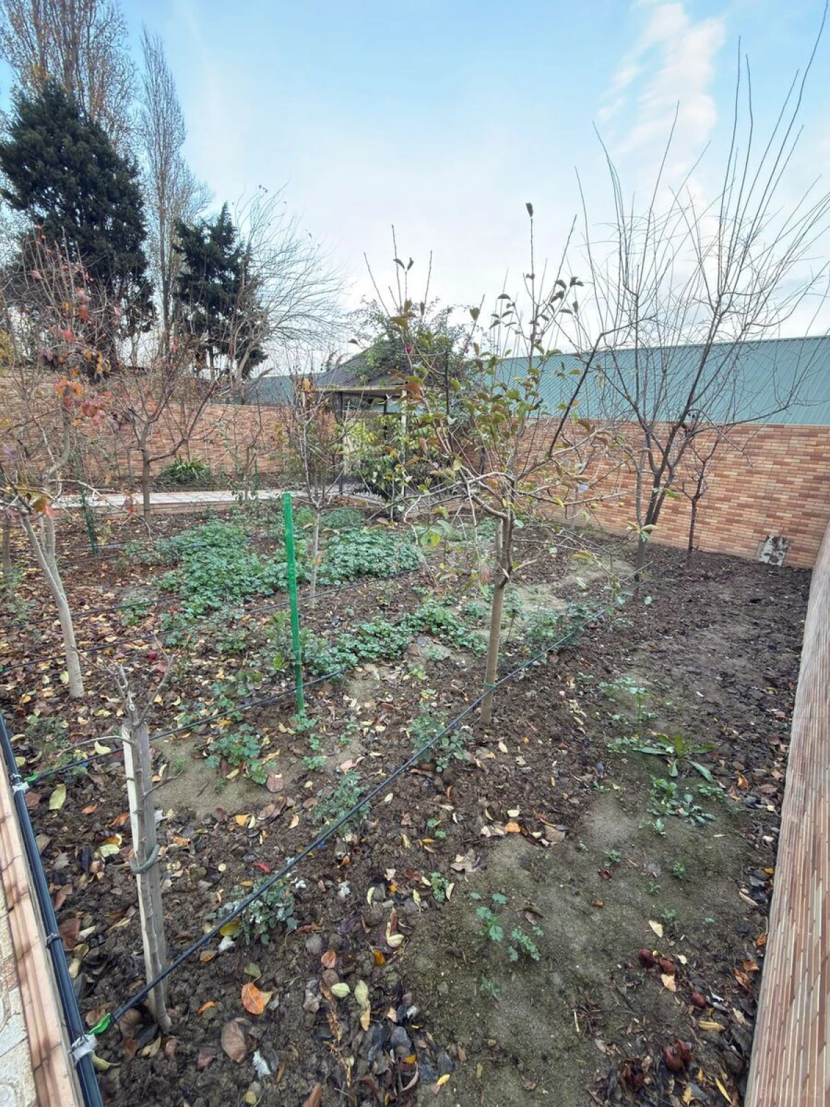 Kirayə verilir 6 otaqlı həyət evi 500 m²