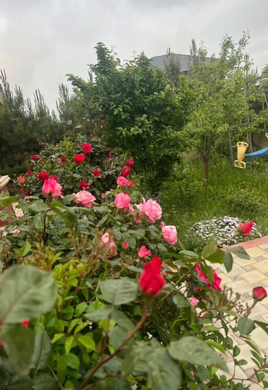 Satılır 4 otaqlı həyət evi 166 m²