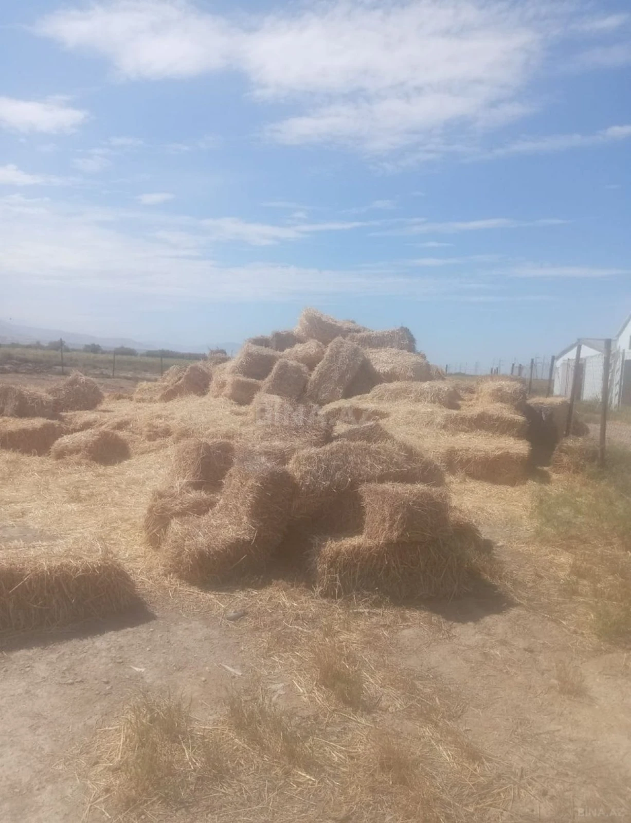 Satılır torpaq sahəsi 5000 m²