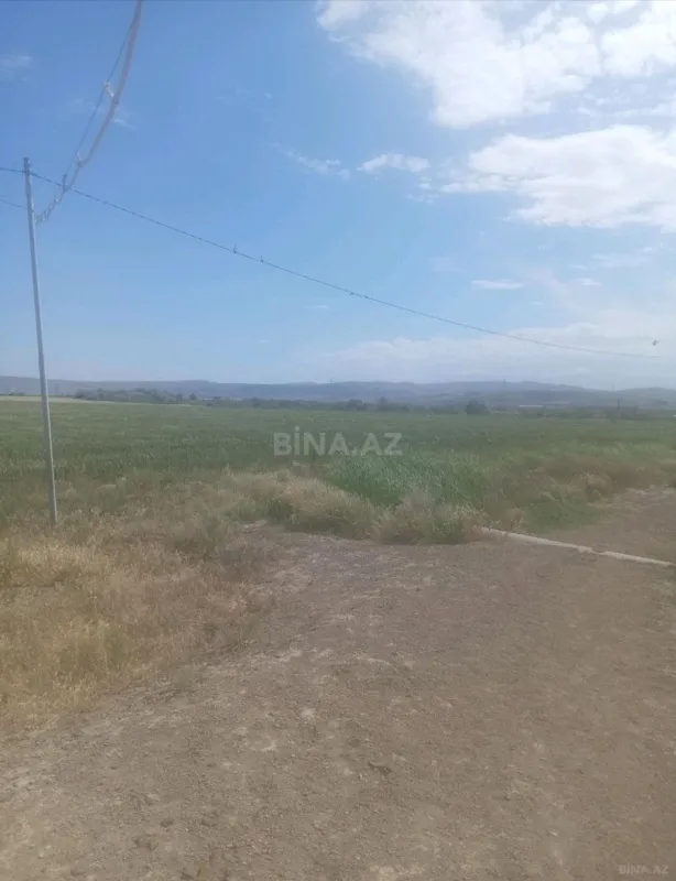 Satılır torpaq sahəsi 5000 m²