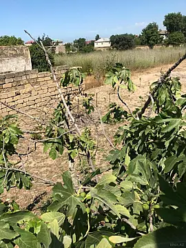 Satılır torpaq sahəsi 6 m²