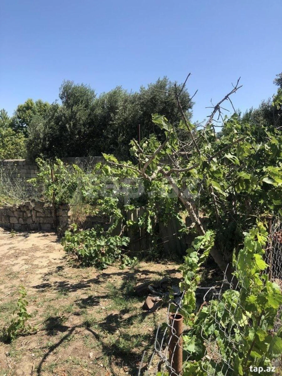 Satılır torpaq sahəsi 6 m²