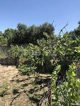 Satılır torpaq sahəsi 6 m²