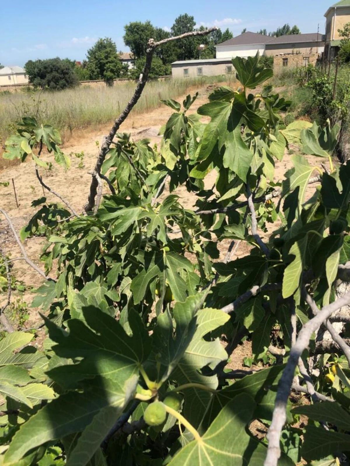 Satılır torpaq sahəsi 6 m²